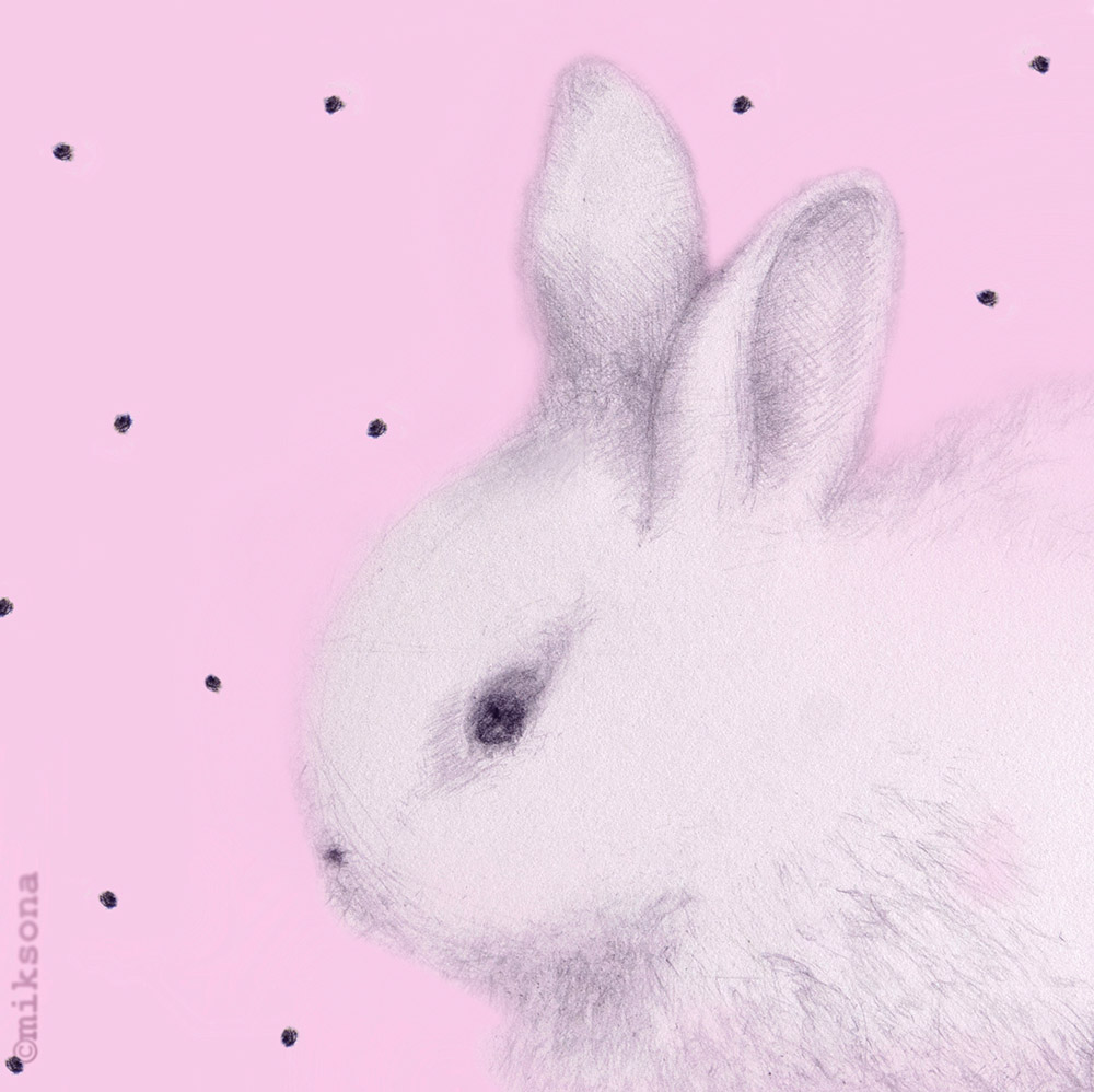 Sweet bunny by Miksona