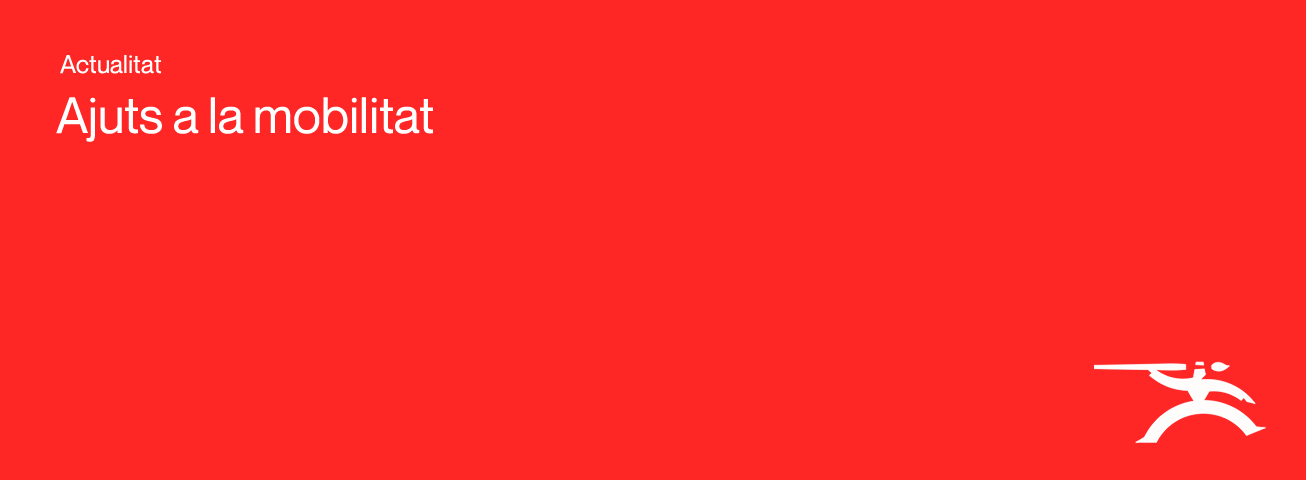 Xerrada sobre els ajuts a la mobilitat de l'Institut Ramon Llull